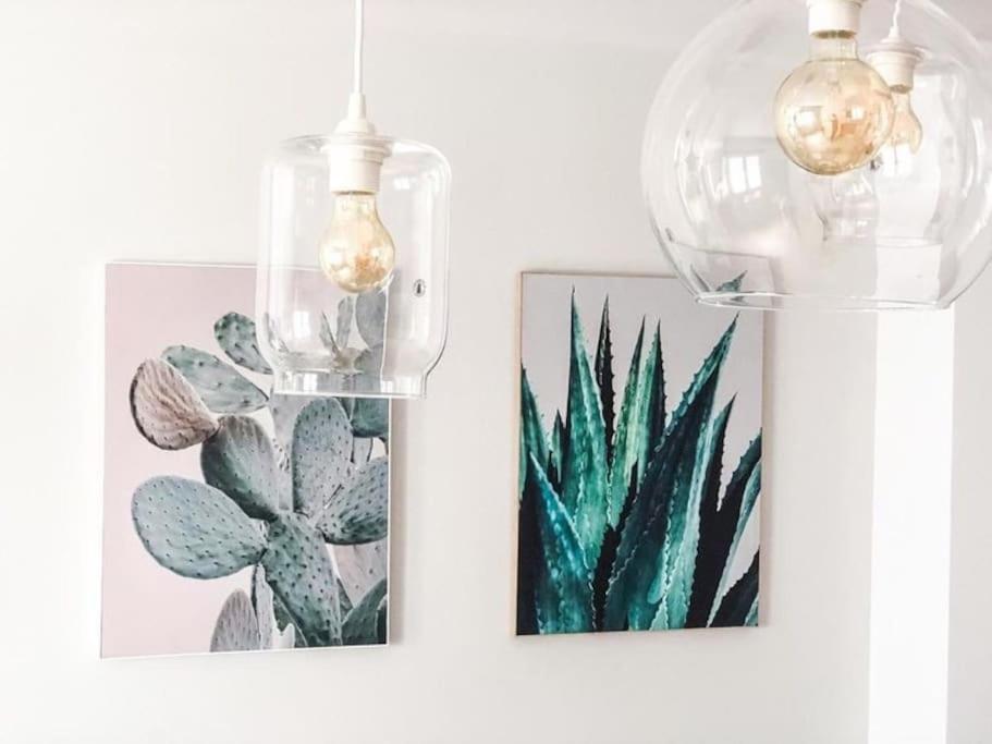 Los Cactus 1 Лас Палмас де Гран Канария Екстериор снимка